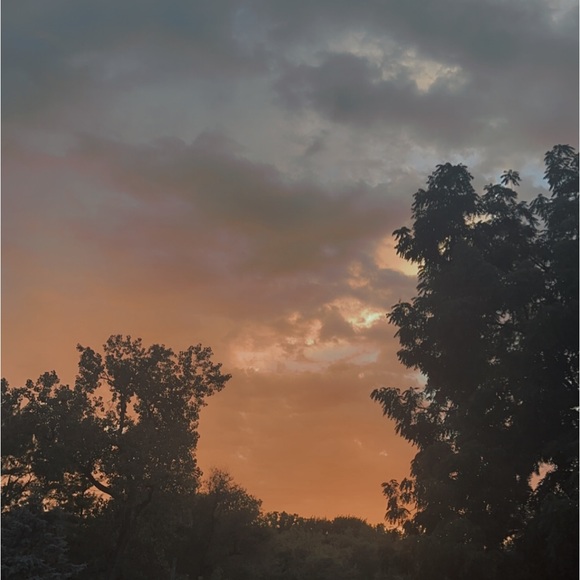 Profile Picture of Sarah Weaver (@sweav425) on Poshmark