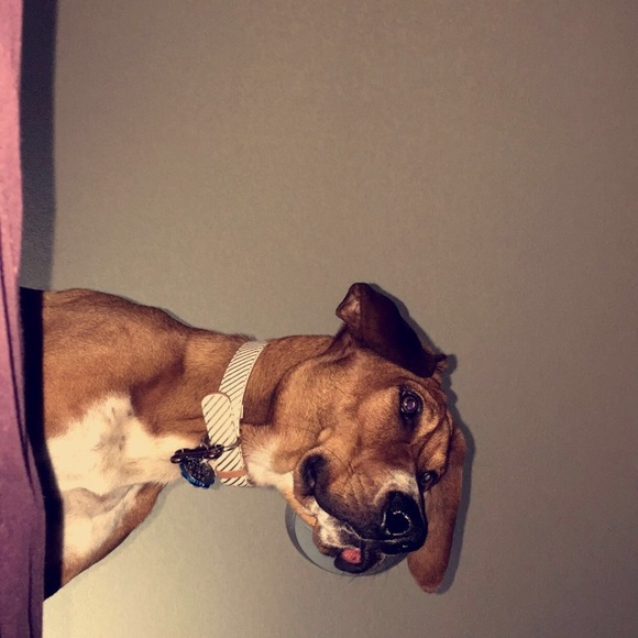 Profile Picture of Samantha Fenner (@samfenner) on Poshmark