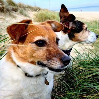 Profile Picture of David Worland (@DavidWorland72) on Twitter