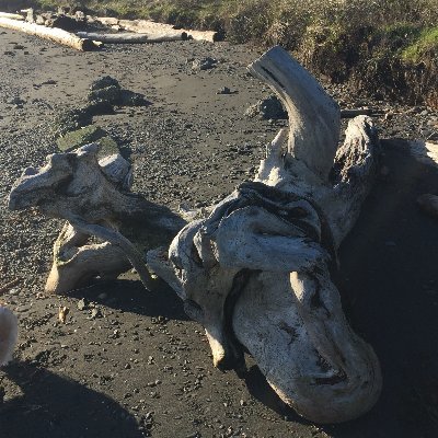 Profile Picture of Lucille Celestino (@LucilleCelesti1) on Twitter