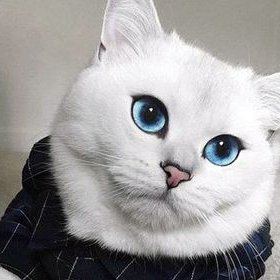 Profile Picture of MickPerry (@MickPerry_W) on Twitter