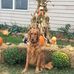 Profile Picture of Chris Minnick (@chris.minnick.148) on Facebook