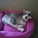 Profile Picture of Paula Boudreau (@paulaboudreau) on Pinterest
