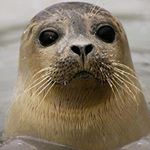 tyler haan - Instagram Profile Picture of tyler haan (@pooshka14) on Instagram