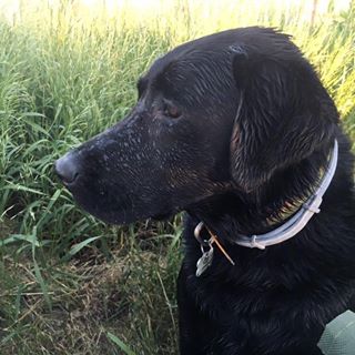 Mark Tunstill - Facebook Profile Picture of Mark Tunstill (@mtunstill) on Facebook