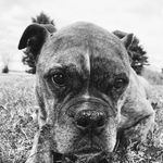 Profile Picture of Gary Frederickson (@gary_fred_oeb) on Instagram