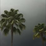 Profile Picture of Chris Cartwright (@chris.cartwright.555141) on Facebook