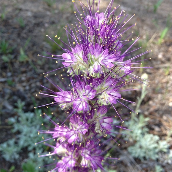 Jolynn Gerbig - Poshmark Profile Picture of Jolynn Gerbig (@jogerbig20) on Poshmark