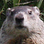 Profile Picture of John (@Big Bird 2009) on Flickr