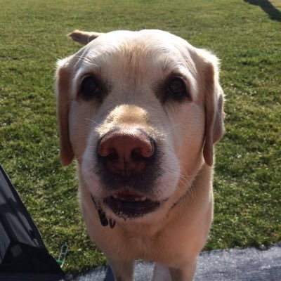 Profile Picture of Barry Mcculloch (@barrym151) on Twitter