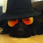 Profile Picture of Daniel Goodwin (@_daniel.goodwin) on Instagram