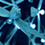 Profile Picture of Alex Lem (@alex lem) on Flickr