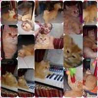 Profile Picture of Jazmin Trinidad (@jazmin-trinidad-1) on Quora