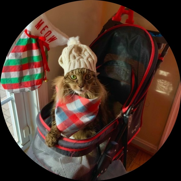 Profile Picture of Ulanda Loadholt (@sloadholt) on Poshmark