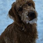 Profile Picture of Shelly Shields (@shelly.shields.75) on Facebook