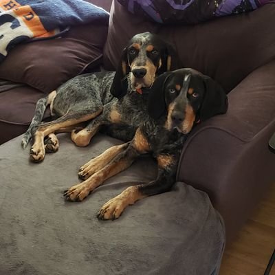 Profile Picture of Scott Janeway (@JanewayScott) on Twitter