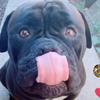 Profile Picture of adamlerma927 (@@adamlerma927) on Tiktok
