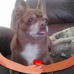 Profile Picture of Bobbie Hardison (@thewoman50) on Instagram