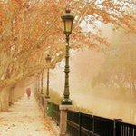 Fion  Lau - Instagram Profile Picture of Fion  Lau (@fion.lau.16) on Instagram