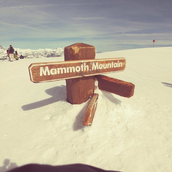 Profile Picture of Tyler Frizzell (@tfrizz20) on Poshmark