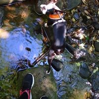 Profile Picture of Merle Scott (@merle-scott-1) on Quora