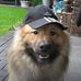 Profile Picture of Eric Timmer (@eric.timmer.5268) on Facebook