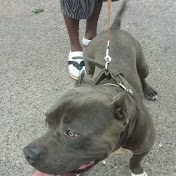 Profile Picture of Travis Bates (@travisbates46) on Youtube