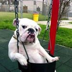 elijah perkins - Instagram Profile Picture of elijah perkins (@eperkins1861) on Instagram