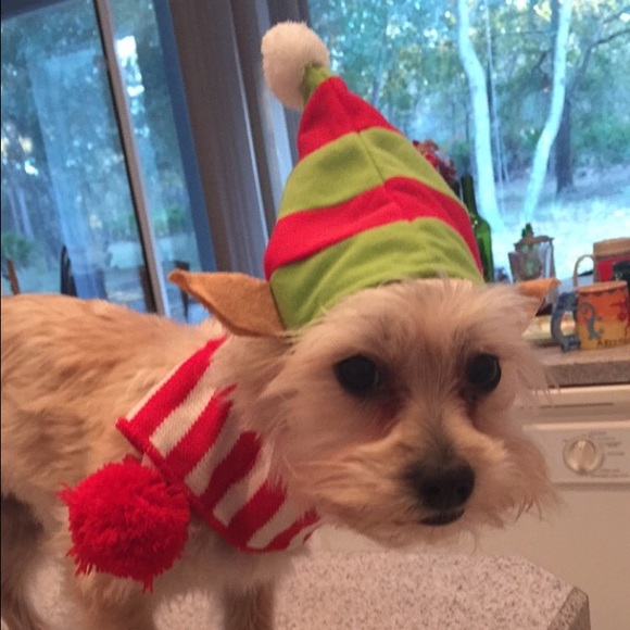 Profile Picture of Josie Foster (@josiefoster) on Poshmark