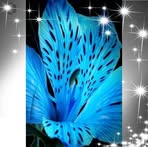 Inez Thetford - Facebook Profile Picture of Inez Thetford (@inez.thetford.7) on Facebook