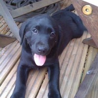 Profile Picture of Gabrielle Robbins (@gabrielle-robbins-3) on Quora