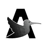 Profile Picture of Jordan Antonacci (@antonaccidesigns) on Instagram