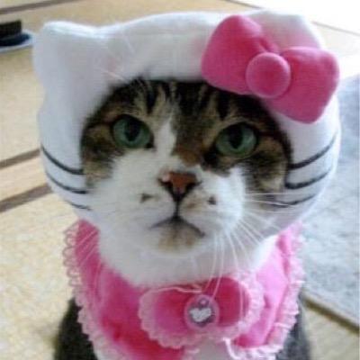 Profile Picture of Isabella Steger (@@stegersaurus) on Twitter