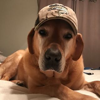 Profile Picture of Brett Dee (@brett.dee.9421) on Facebook