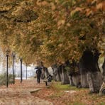 Profile Picture of Cheryl Moses (@Cheryl-Moses) on Facebook