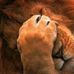 Profile Picture of Henrry Ojeda (@genaro.ojeda.5) on Facebook