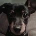 Profile Picture of Craig Schneider (@craig.schneider.378) on Facebook