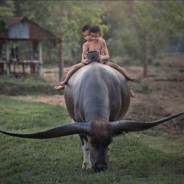 Profile Picture of WENJUN Xu (@WENJUNXu11) on Twitter