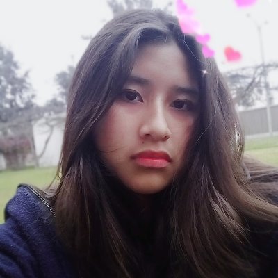 Profile Picture of Sook Choi (@sookchoi16) on Twitter