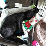 Profile Picture of Zoe Leach (@_loves__art_) on Instagram