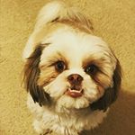 Profile Picture of Buddy Farmer (@farmer_buddy) on Instagram