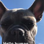 Profile Picture of Carson Williams (@carsonwilliams1214) on Instagram