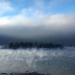 Profile Picture of Carol Oberholtzer (@vee.candygirl) on Instagram