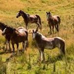 Profile Picture of Paul Spratt (@paul.spratt.73) on Instagram