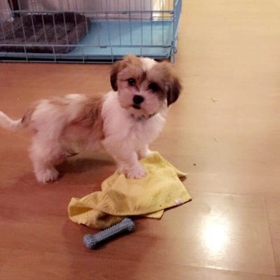 Profile Picture of Cindy Clayton (@cinclay927) on Twitter