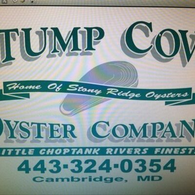 Profile Picture of Dick Balling (@StumpCove) on Twitter