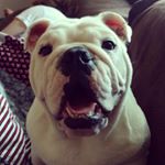 Profile Picture of Eric Payne (@payner65) on Instagram