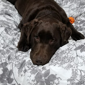 Audrey Brousseau - Youtube Profile Picture of Audrey Brousseau (@audreybrousseau7664) on Youtube