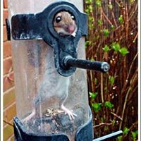 Trevor Stevens - Quora Profile Picture of Trevor Stevens (@trevor-stevens-9) on Quora