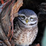 Profile Picture of Lila Duncan (@liladuncan0) on Instagram